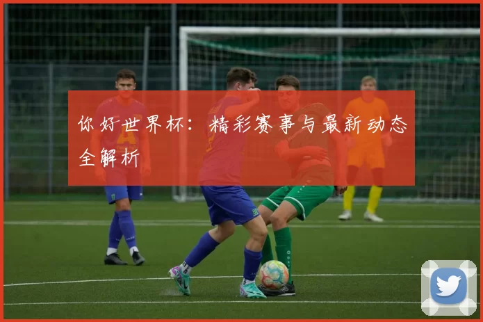 你好世界杯：精彩赛事与最新动态全解析