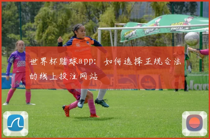 世界杯赌球app：如何选择正规合法的线上投注网站