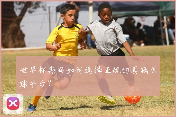 世界杯期间如何选择正规的真钱买球平台？