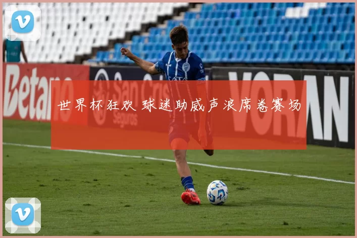 世界杯狂欢 球迷助威声浪席卷赛场