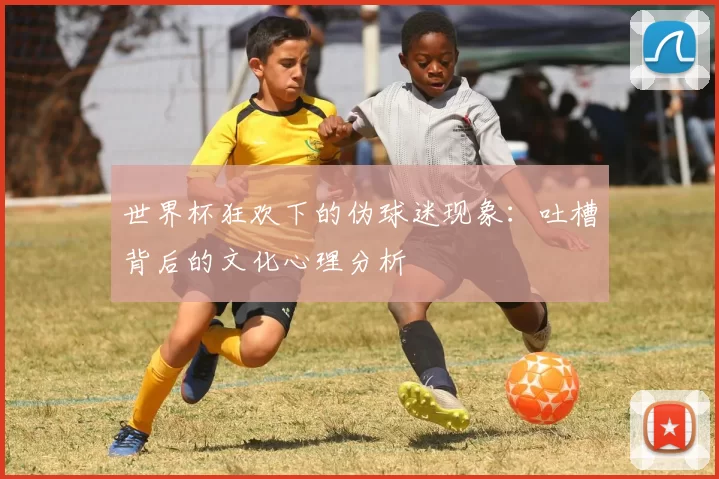世界杯狂欢下的伪球迷现象：吐槽背后的文化心理分析