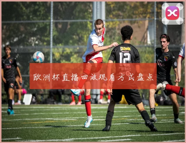 欧洲杯直播回放观看方式盘点