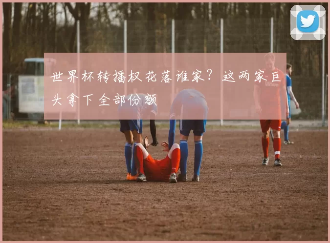 世界杯转播权花落谁家?这两家巨头拿下全部份额