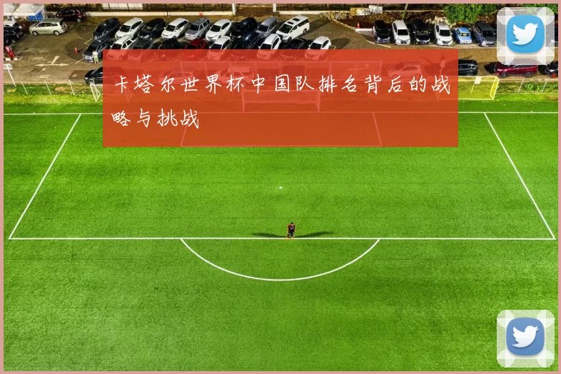 卡塔尔世界杯中国队排名背后的战略与挑战