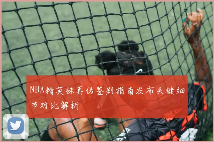 NBA精英袜真伪鉴别指南发布关键细节对比解析