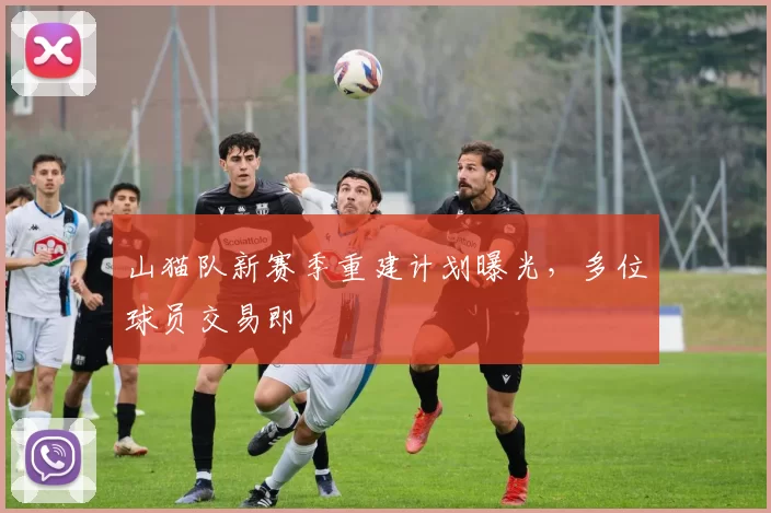 山猫队新赛季重建计划曝光,多位球员交易即