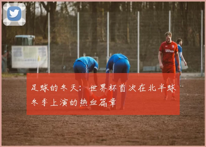 足球的冬天:世界杯首次在北半球冬季上演的热血篇章