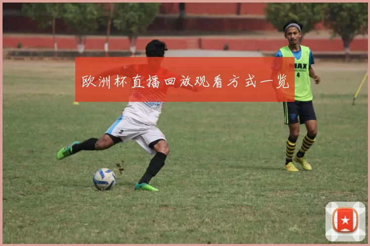 欧洲杯直播回放观看方式一览