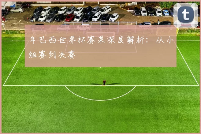 年巴西世界杯赛果深度解析:从小组赛到决赛